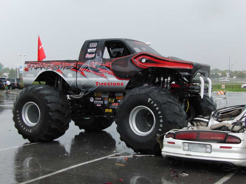 Bigfoots